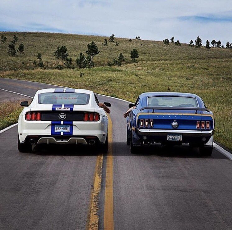 ImSaNjAyM5's tweet photo. @CARandDRIVER @Car @CarLover #Cars3 #Ford @FordMustang 
Retweet- New mustang
Follow-old mustang (legend)

See this
https://t.co/8tikrEt3wm https://t.co/aZyTSl7HEr