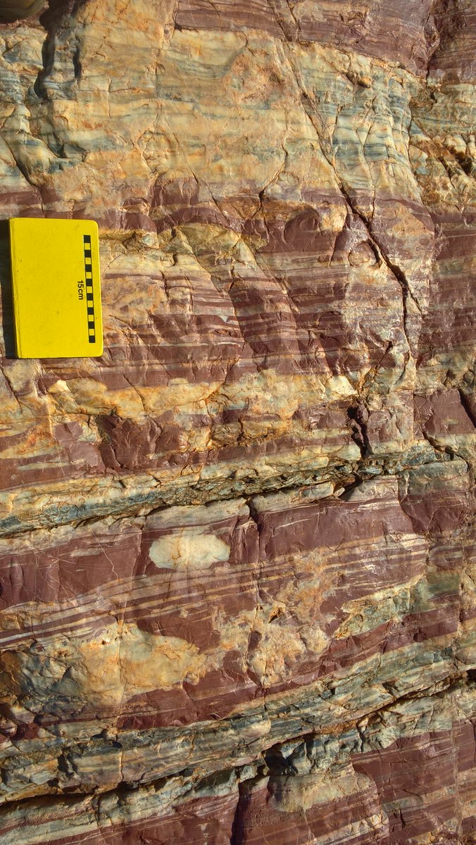 The Rock Library tweet media