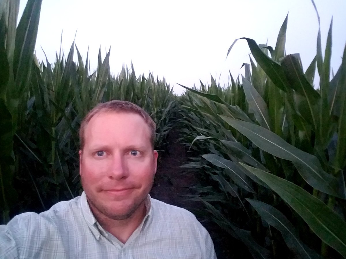 ElmoreFarms's tweet photo. Out looking at corn in ECIL tonight. Very little pressure via insect or disease. Uneven pollination in spots but well on its way. #grow17 https://t.co/YnkxEUBWOZ