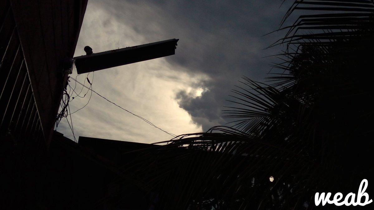 WilberEduardo10's tweet photo. A cloud shark eating the sun.
#goodnight #photooftheday #shark #clouds #stormiscomming https://t.co/nxKMQ1gWox