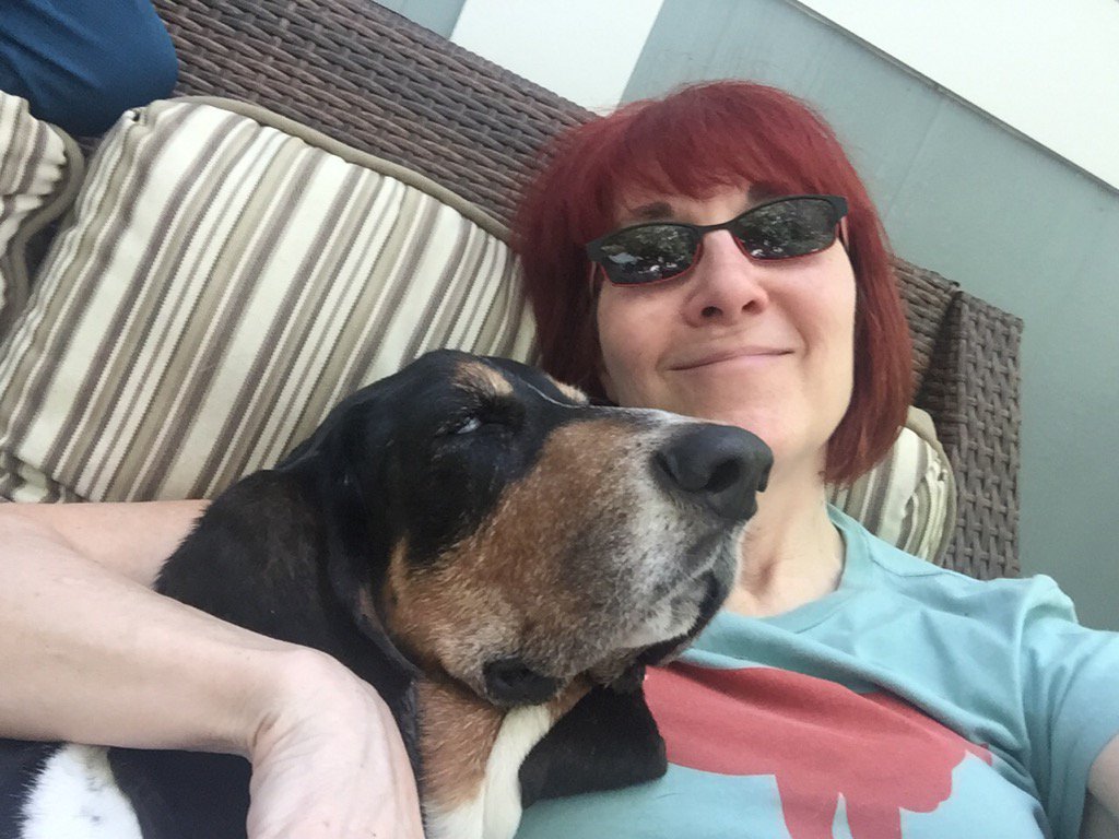 irishgal09's tweet photo. did I say it's official? oscar is officially a member of the family! #fosterfailure #bassetrescue #droolrules https://t.co/1wzDyu7cu4