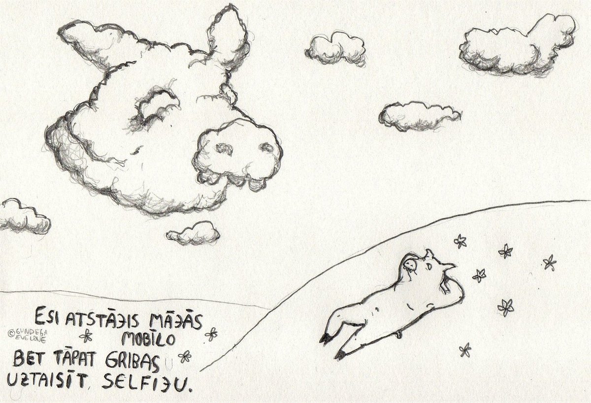 cukukomiksi's tweet photo. Vasara. (Kur ir mans mobilais?)
#vasara #selfijs #pašbilde #pašiņš https://t.co/bBO8IwRswW