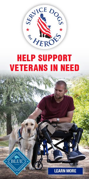 MomsWhoSave's tweet photo. Help @BlueBuffalo and @PetSmartChariTs raise $1 Million to provide service dogs for veterans. https://t.co/RNlNsQQu7d #SDFH #sponsored https://t.co/PLd8OkUZi3