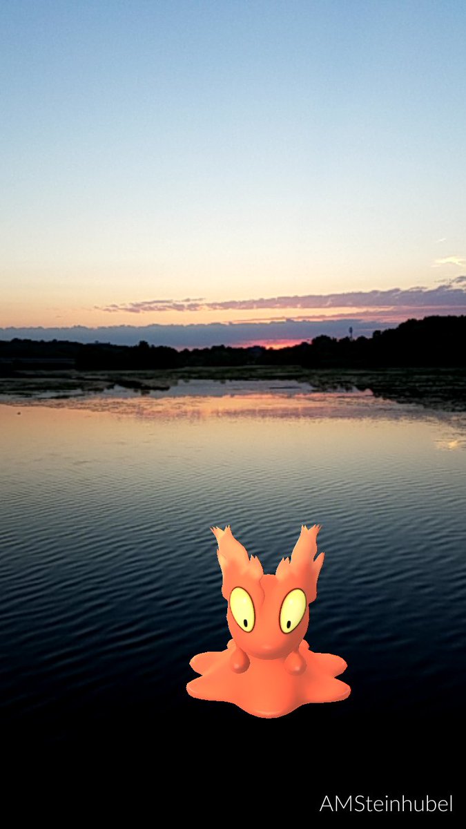 midwestStein's tweet photo. Had a visitor to enjoy this beautiful sunset with! #YesIstillPlay #PokemonGo #slugma #sunset #postrunviews https://t.co/lnlvVFjrwT