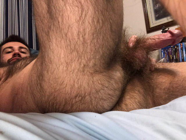 Hot gay hairy cocks