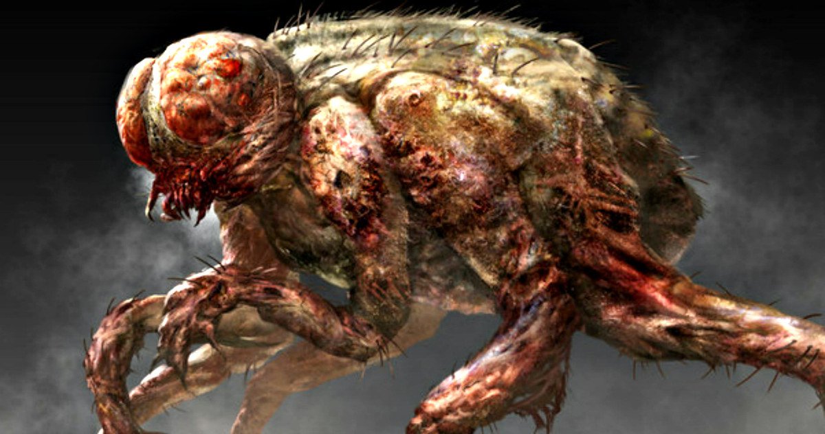 HorrorFFestATL's tweet photo. The Fly Fan Art Gives Brundlefly a Gruesome Modern Makeover https://t.co/86DIu95rwB https://t.co/WuX2R2j2sq