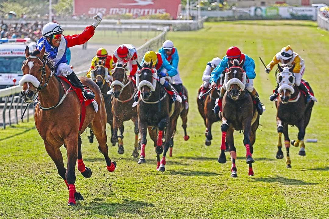TBredSANews's tweet photo. Winner of his last 4 in Mauritius inc. local G1 & G2, former South African raced Parachute Man (AUS) resumes Saturday at #MauritiusTurfClub https://t.co/tX8uKmtHS8