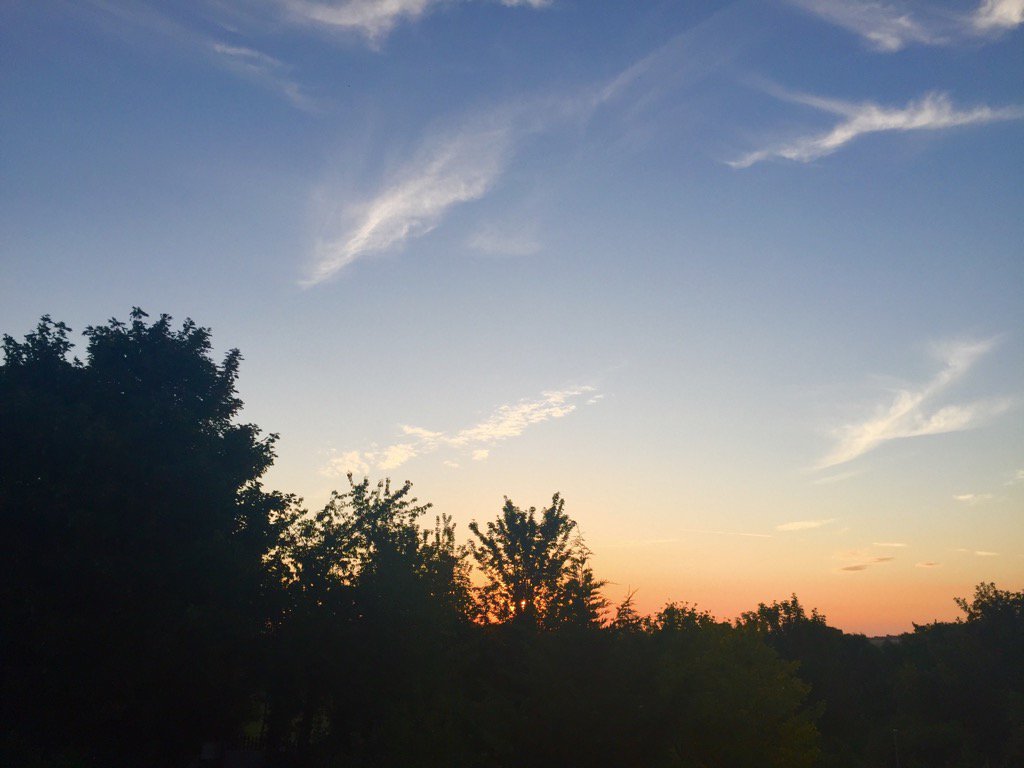 Tabitha Webb tweet media