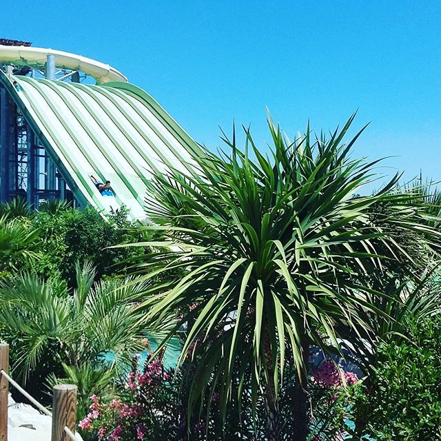 La journée commence sous un soleil radieux !