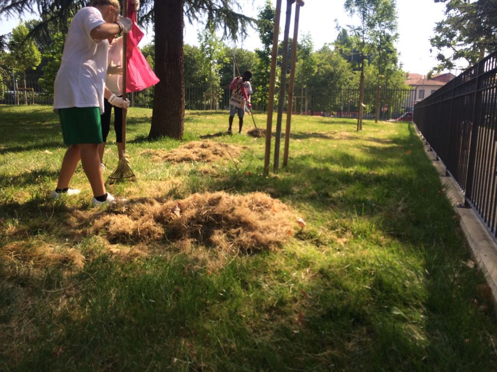 il_bosco_acm's tweet photo. Trasformare la cura del verde pubblico in un gioco a squadre. Meraviglioso!
#cre2017 #parcomalpensata #Bergamo @ComunediBergamo @AmoBergamo https://t.co/ma1GdiHB1I