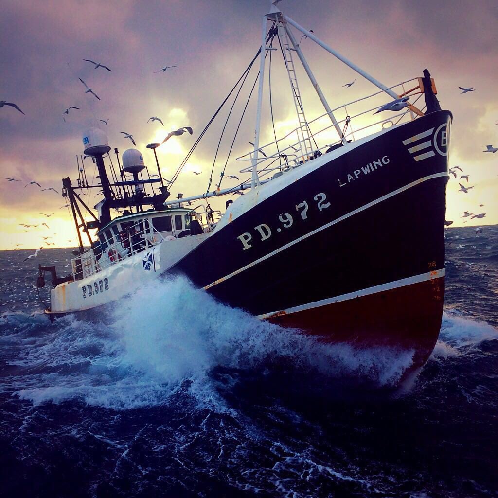 GoldenUnion's tweet photo. #Fryday #FridayFeeling #britishsummertime #canonlybe #fishnchips #takeaway #eatin #alwaysfresh #PeterheadCod #perfect https://t.co/Kma3E8peA2