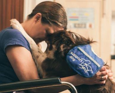 Support Dogs (@supportdogsuk) on Twitter photo Join us for an scrummy Tea Party with a doggy difference supportdogs.org.uk/events/support… <a href="/SheffieldStar/">The Star, Sheffield</a> <a href="/kenwood_hall/">Kenwood Hall</a> Join us for an scrummy Tea Party with a doggy difference supportdogs.org.uk/events/support… <a href="/SheffieldStar/">The Star, Sheffield</a> <a href="/kenwood_hall/">Kenwood Hall</a>