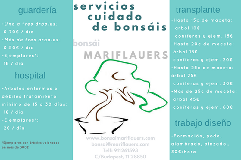 Mariflauers's tweet photo. No olvides que entre otros servicio, tenemos #guarderias de #Bonsai . #FelizFinde #FelizViernes #bonsaicommunity https://t.co/tnrNxno7tI