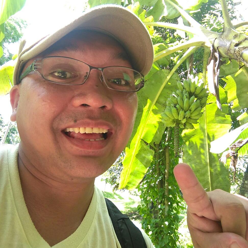 Mega_Amihan's tweet photo. So organic fruit bearing plants at @sweetspringfarm operated by @kikopangilinan
#MegaAtHomePH #SimplicityMegaBlessed
@sharon_cuneta12 https://t.co/HnniBvSaxu