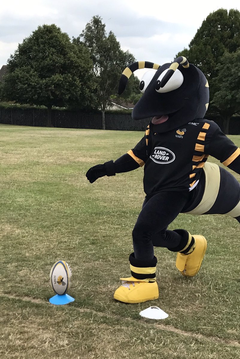 WaspsCommunity's tweet photo. Stings been busy here @ErnesfordPS Fun Day! Some great kicking and passing skills to show everyone #SuperSting 🐝🐝 https://t.co/E8PjNSV0ye