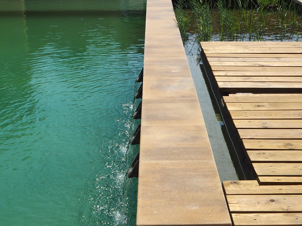 ARAGrup's tweet image. #aguaypaisaje plantas luz piedras limpian naturalmente agua de baño y nado AGUA SALUDABLE  sin química NATURALEZA VIVA #piscinasnaturales