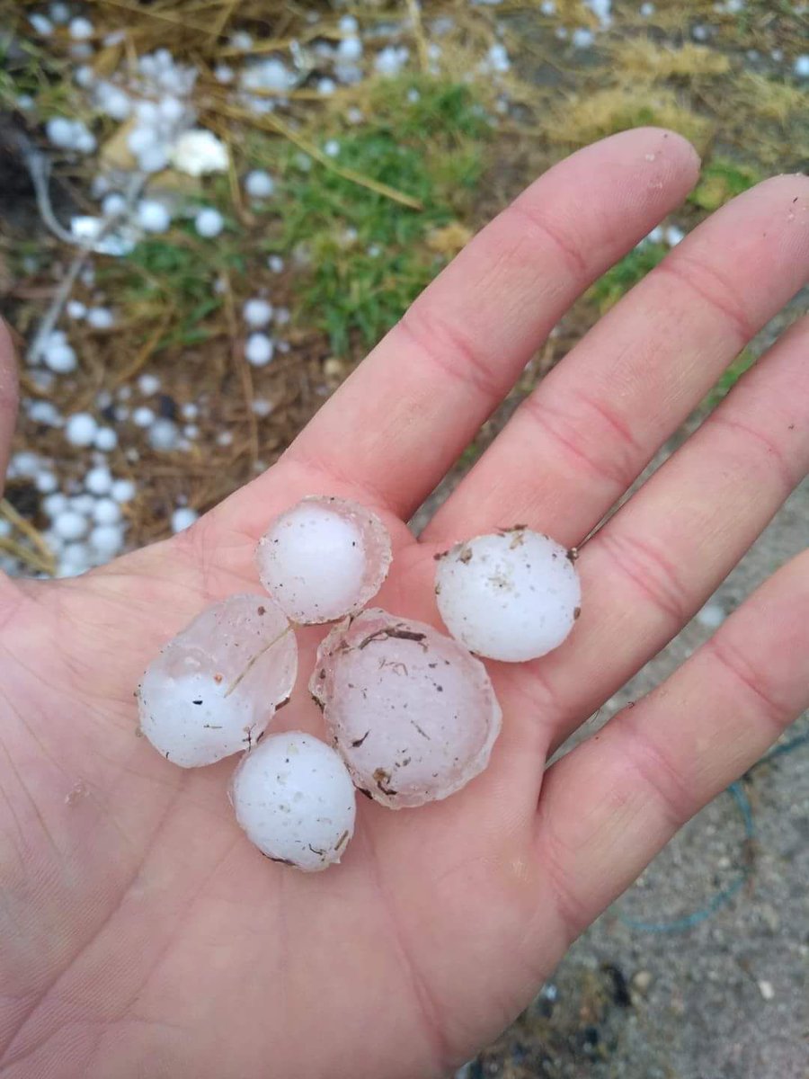 meteosegovia's tweet photo. Granizadas dañinas en #CampodeCuellar #HontanaresdeEresma #DomingoGarcia #Balisa.. #Segovia fotos : Omar, Cristina Guadalupe y Ángel https://t.co/ziB6j044w8