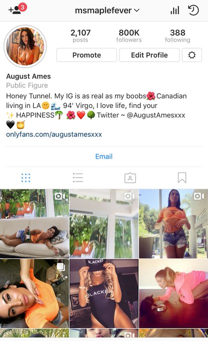 800K fucking incredible friends on my instaram ~ @msmaplefever ?????❤️ 
?thank you? https://t.co/8zQ