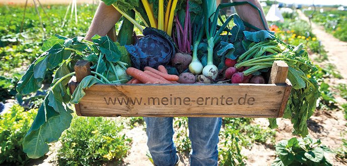 Natalie und Wanda sind die #Gründerinnen von meine ernte und bieten in Großstädten #Gemüsegärten zum Mieten an: mompreneurs.de/natalie-wanda-…