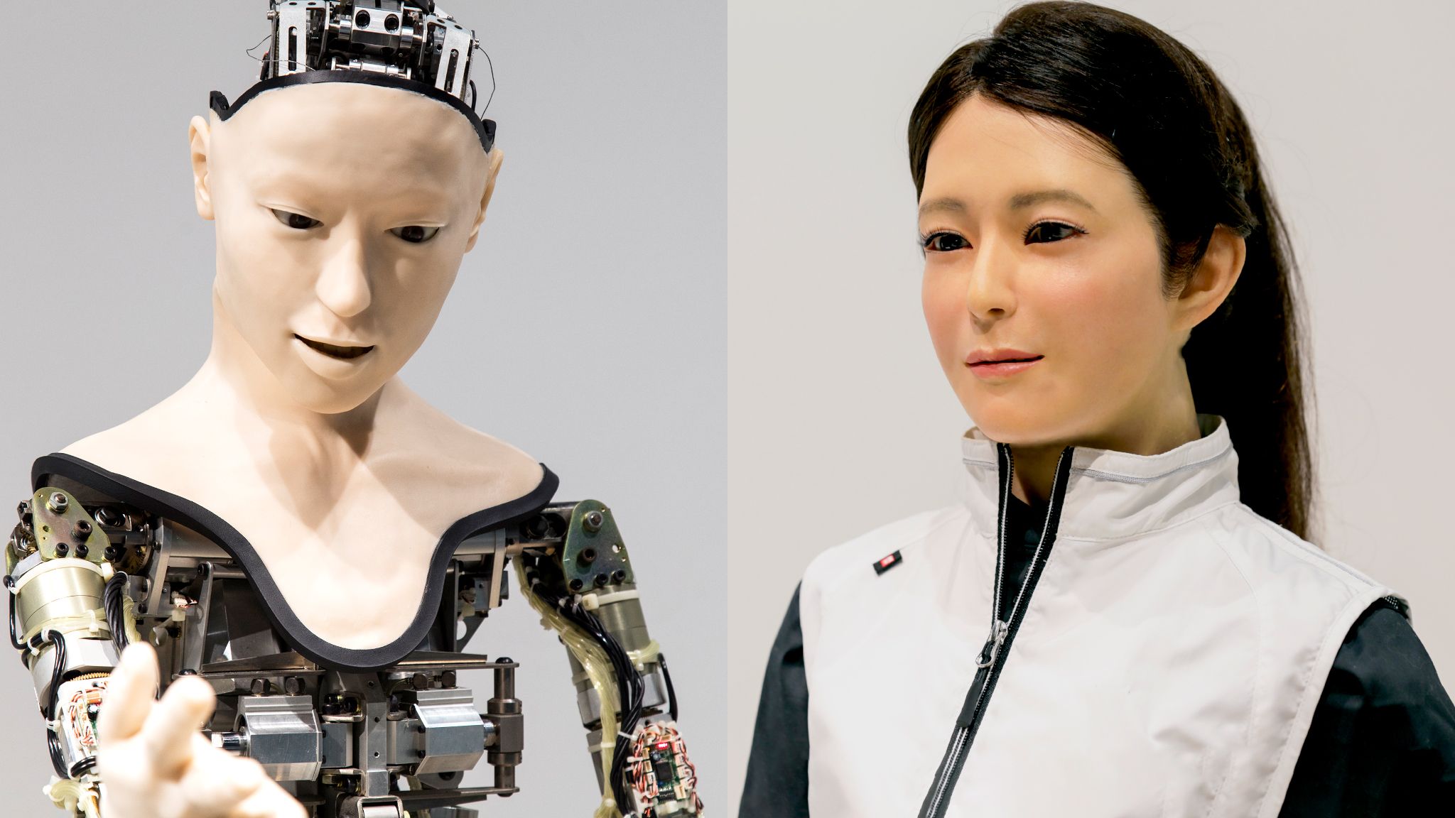 人間のからだ 外科医の霊的洞察眼で人体を見るとこんなに面白い！ Amazon.co.jp: 人間のからだ 外科医の霊的洞察眼で人体を見ると