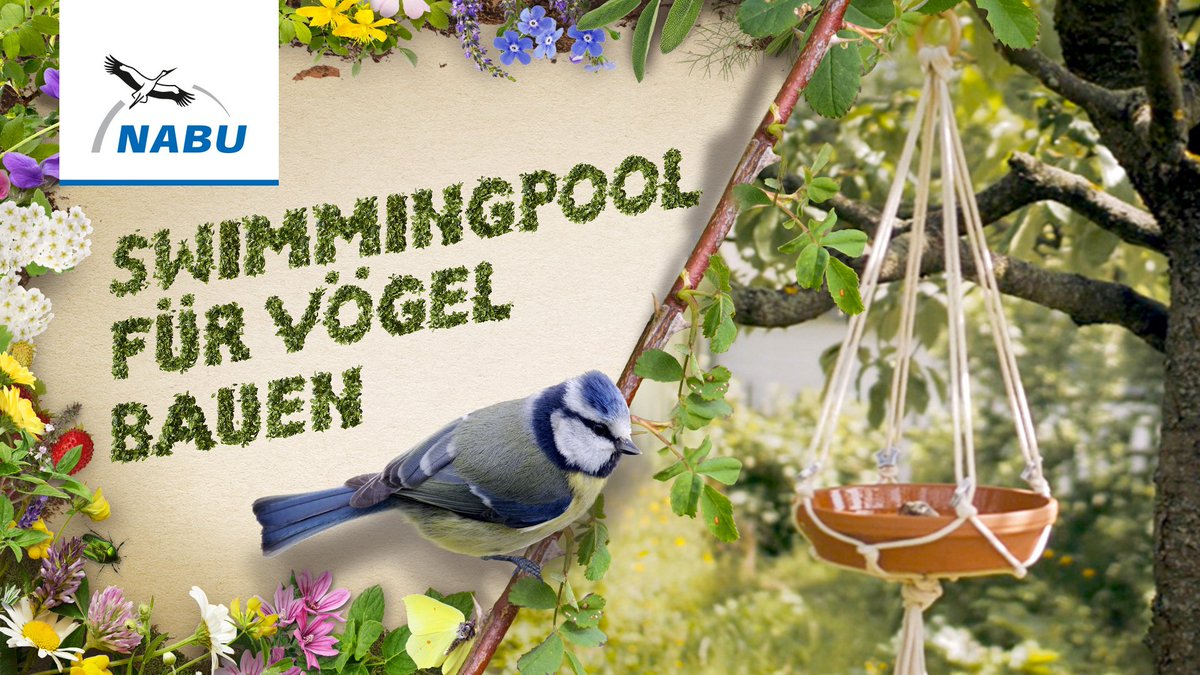 NABU_de's tweet photo. Ganz einfach + freut Vögel in Garten &amp; Balkon 🛁🐦 Vogeltränke / Vogelbad basteln #DIY Video Anleitung #gönndirgarten https://t.co/0OCzBfkFOA https://t.co/sSqA1hoUZg
