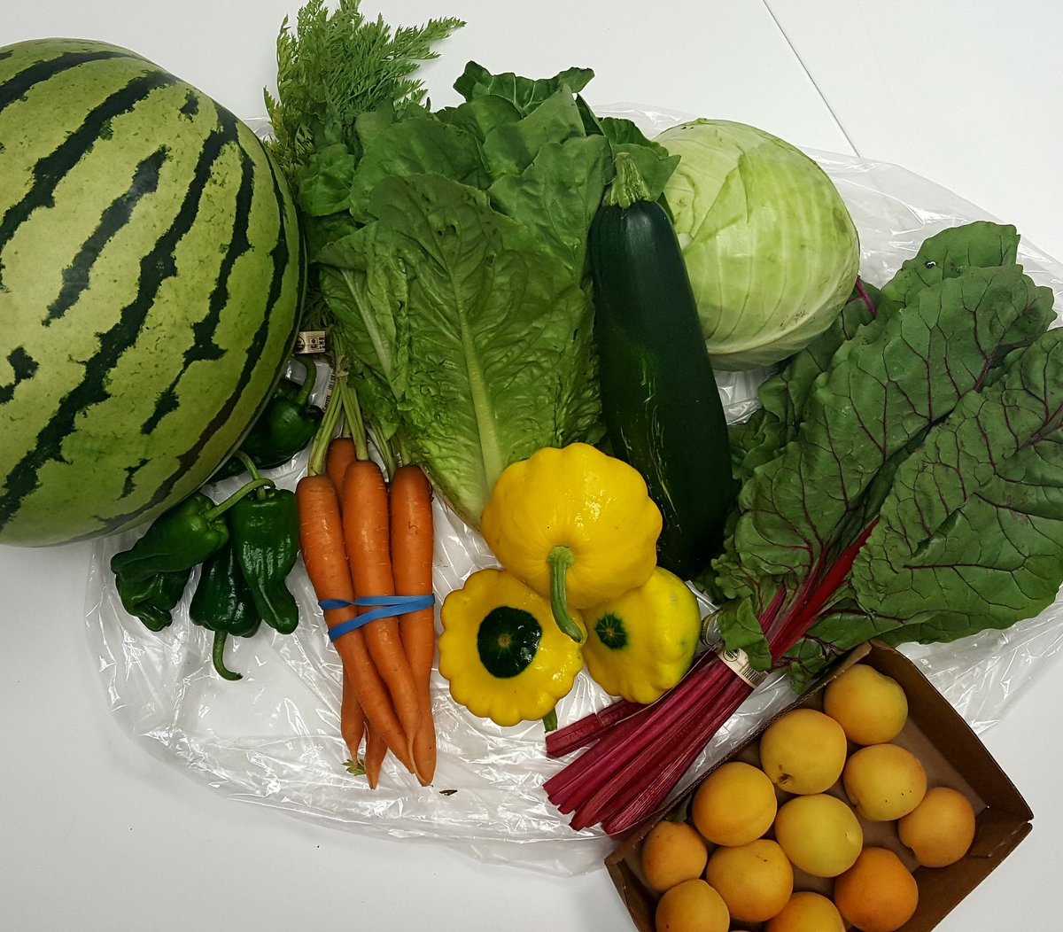 aBrightIdea96's tweet photo. Our beautiful #csa #bounty has arrived! #activeabi #eatinghealthy #nomnomnom https://t.co/SR6XCfWmLK