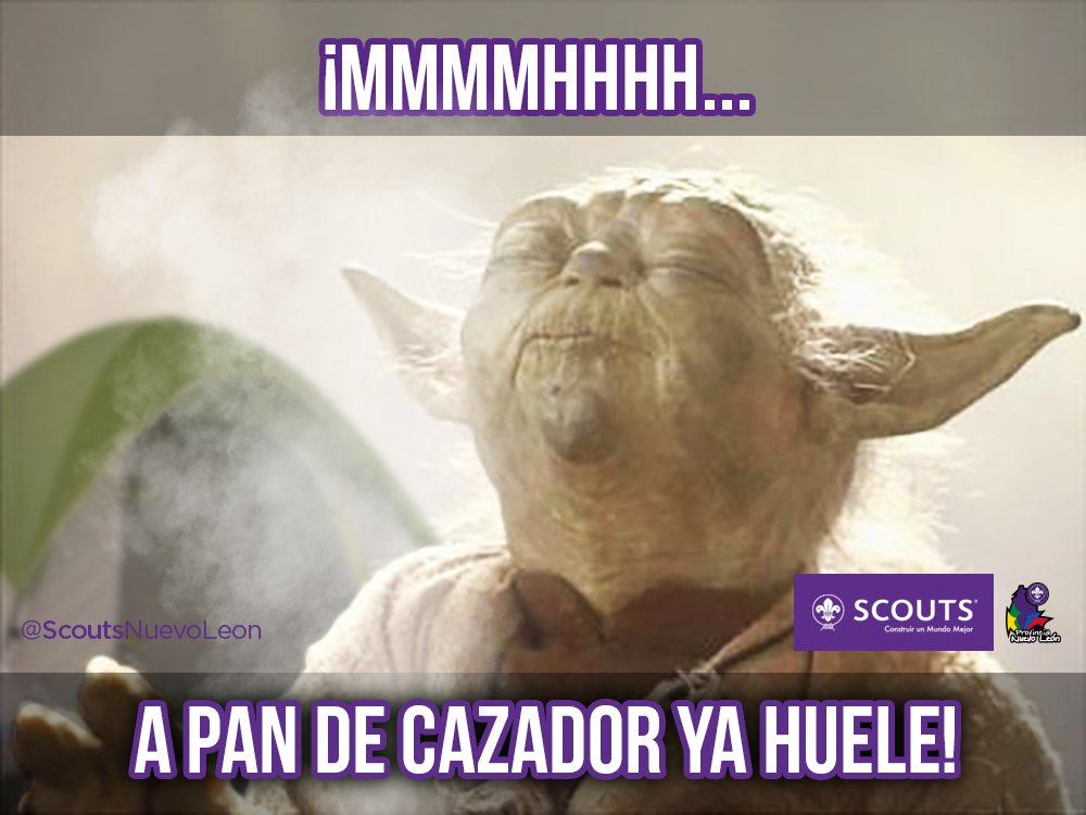 Empiezan los #campamentos de Provincia Nuevo León y hasta el maestro Yoda lo sabe.
¿Ya está lista la mochila?
