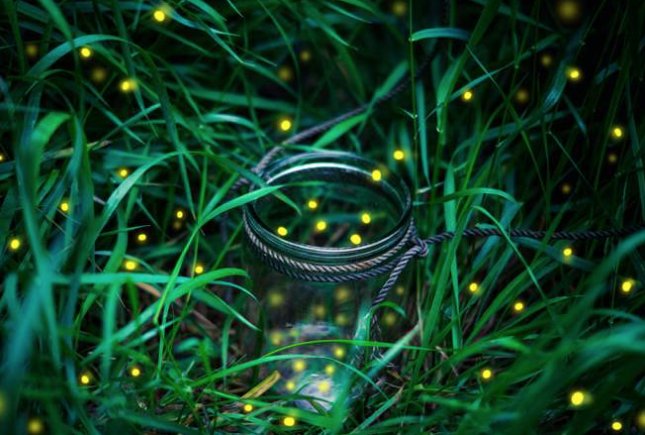 cloudtrendx's tweet image. 6 Things You Didn’t Know About Lightning Bugs goo.gl/aR7uyT via @PestWorld