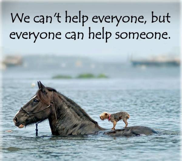 Lori Greiner (@lorigreiner) on Twitter photo 