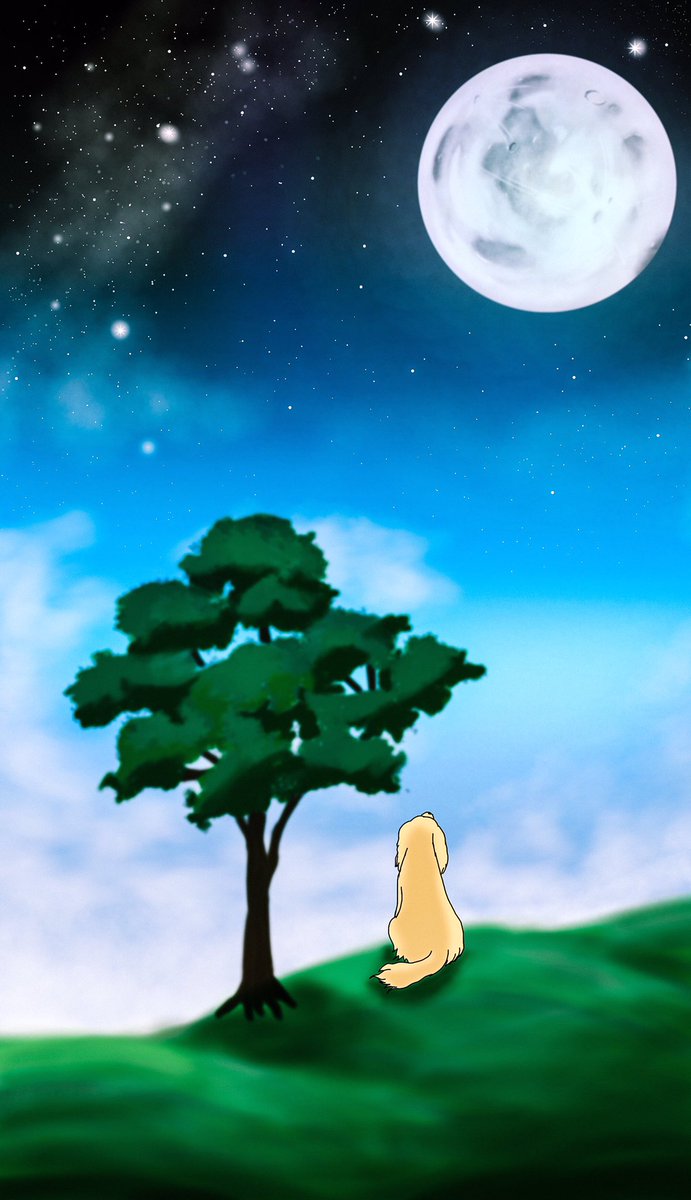 きねこ 七夕なので星空をあげる 全部待ち受けサイズ ᐛ و 七夕17 絵描きさんと繋がりたい いいなと思ったらrt