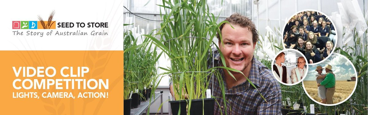 waiteresearch's tweet photo. Create an entertaining 1 min video showcasing Australian #grains to WIN $1000 CASH in the 2017 #SeedToStore comp https://t.co/BM0feYhxEu https://t.co/xNymfiC5m6