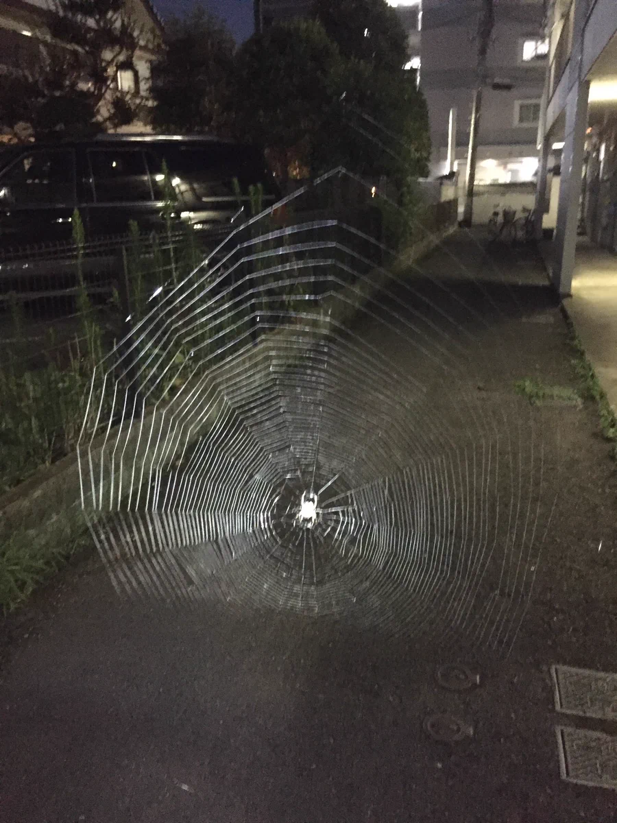 ライトをつけていなかったらアウト？蜘蛛の巣とかいうトラップｗｗｗ
