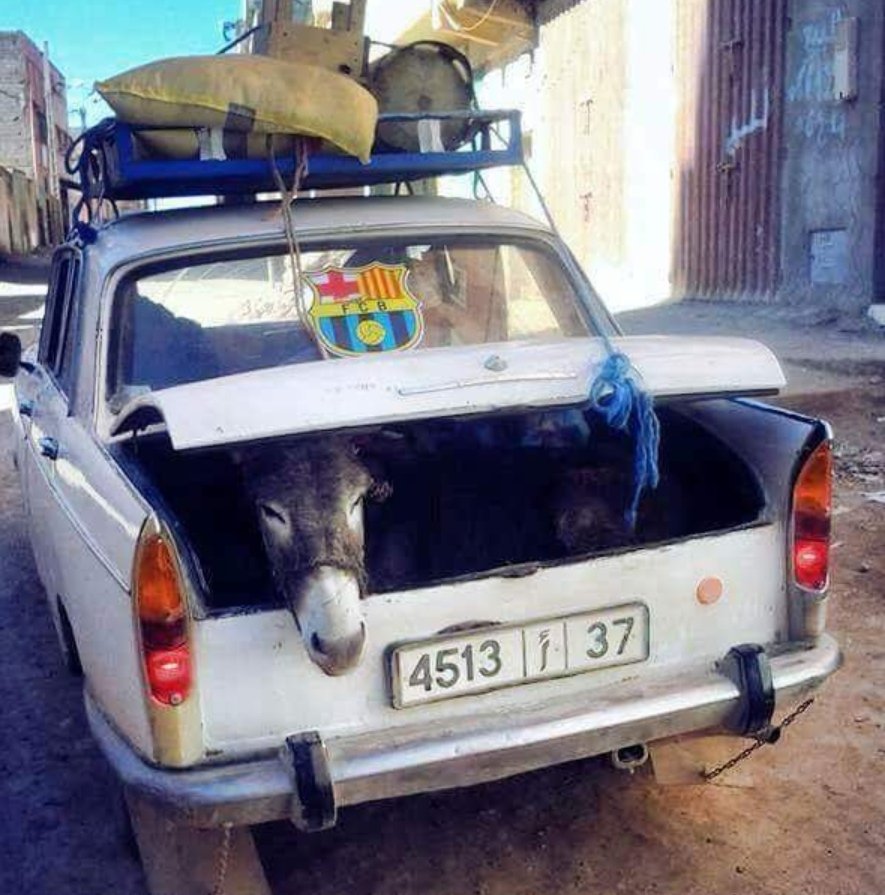 برشلونة تتعاقد مع احد ابرز اللاعبين.  فقت تمكنت من خطفه خطف فيضل المنافسة الشرسة مع الاندية الصينية و الانجليزية