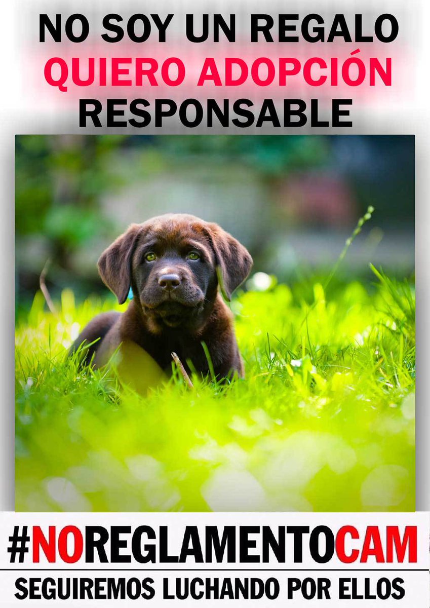 liveyoupet's tweet photo. animal protection associations call for changes https://t.co/dBp7ilHkgn https://t.co/CXiBQCTzdm