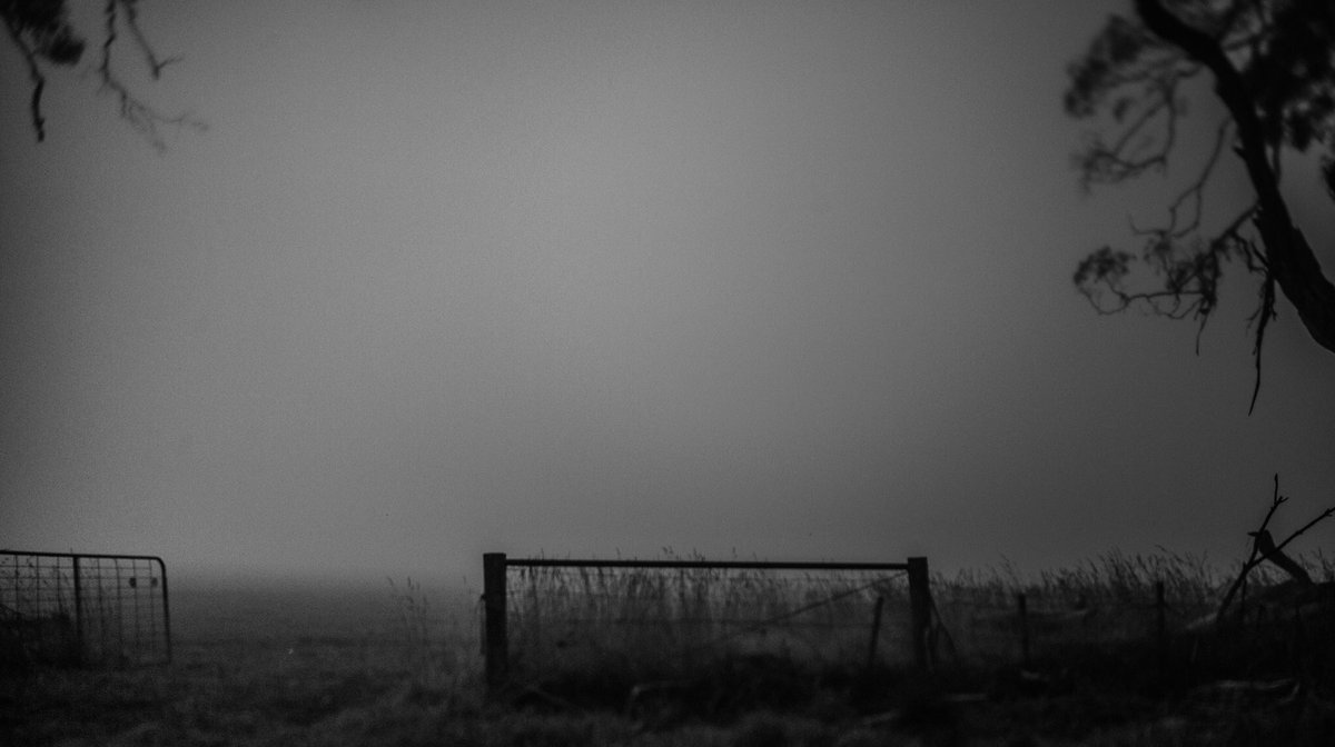 Shrubbette's tweet photo. Limbo? Limbo. https://t.co/NX1pab2BEe