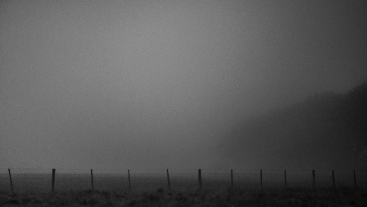 Shrubbette's tweet photo. Limbo? Limbo. https://t.co/NX1pab2BEe