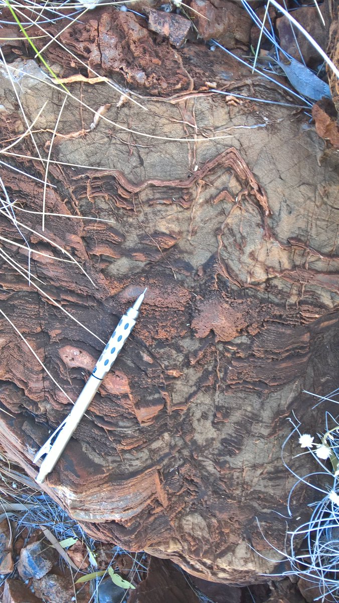 The Rock Library tweet media