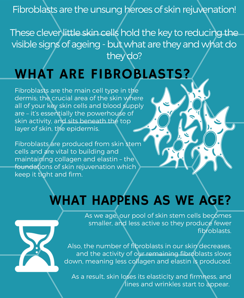 How much do you know about #fibroblasts? Combating aging? You'll need increased collagen and elastin production! Call 023 80760380 for more.