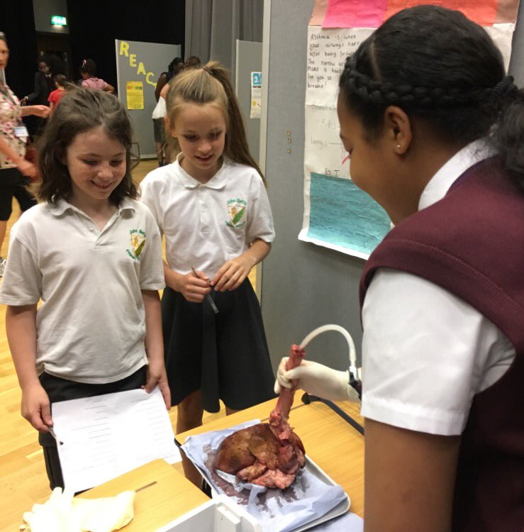 ha_gifted's tweet photo. Demo skills and engaging explanations being used by our KS3 students to inspire the next generation.@hascience1 https://t.co/qVfyM5kUFJ