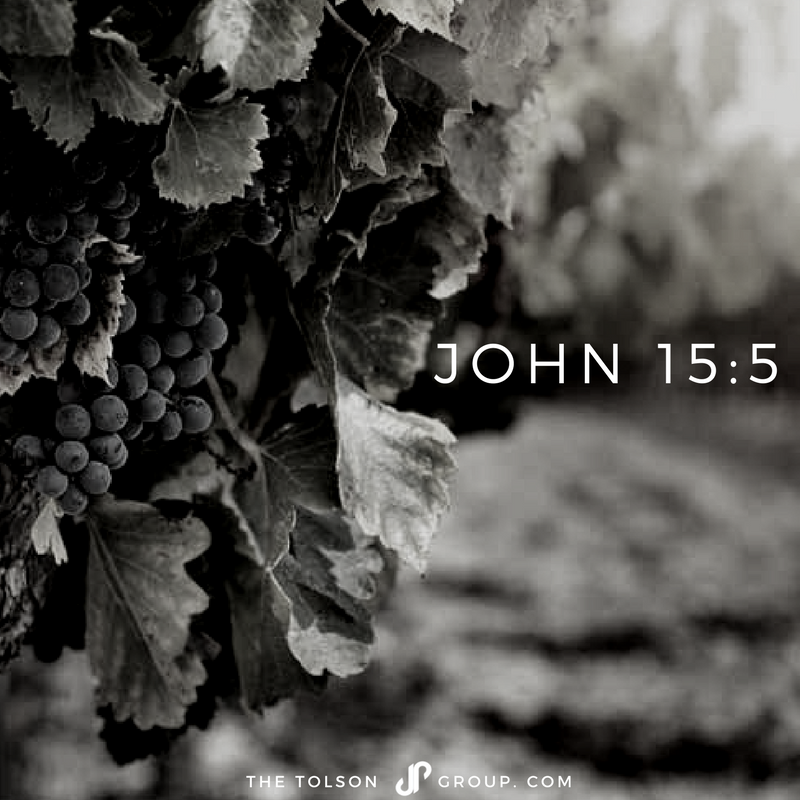 drjohntolson's tweet photo. "I am the vine; you are the branches.[...] For apart from me you can do nothing." John 15:5 (NLT) #tolsongroup #johntolson #GodsWord #John15 https://t.co/PoJneVIgt6