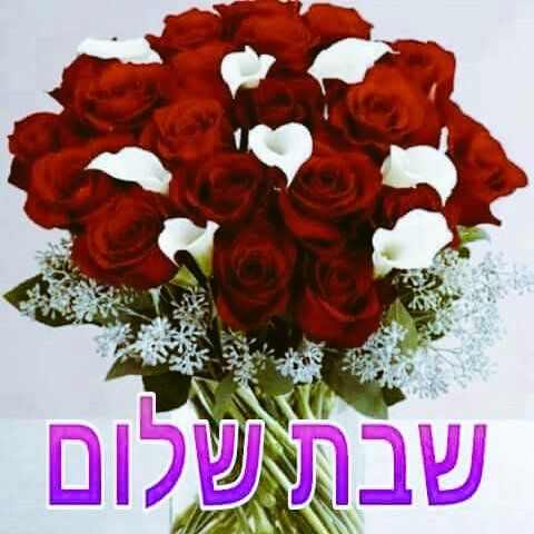 יוסי המוכשר 27yossi1 توییتر