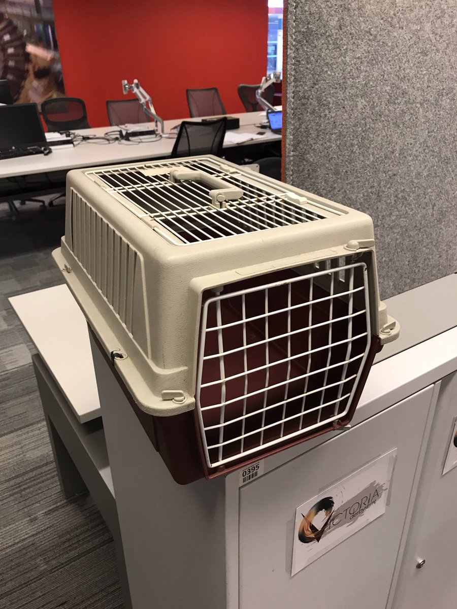 Has someone unilaterally decided to tackle the office mouse problem?