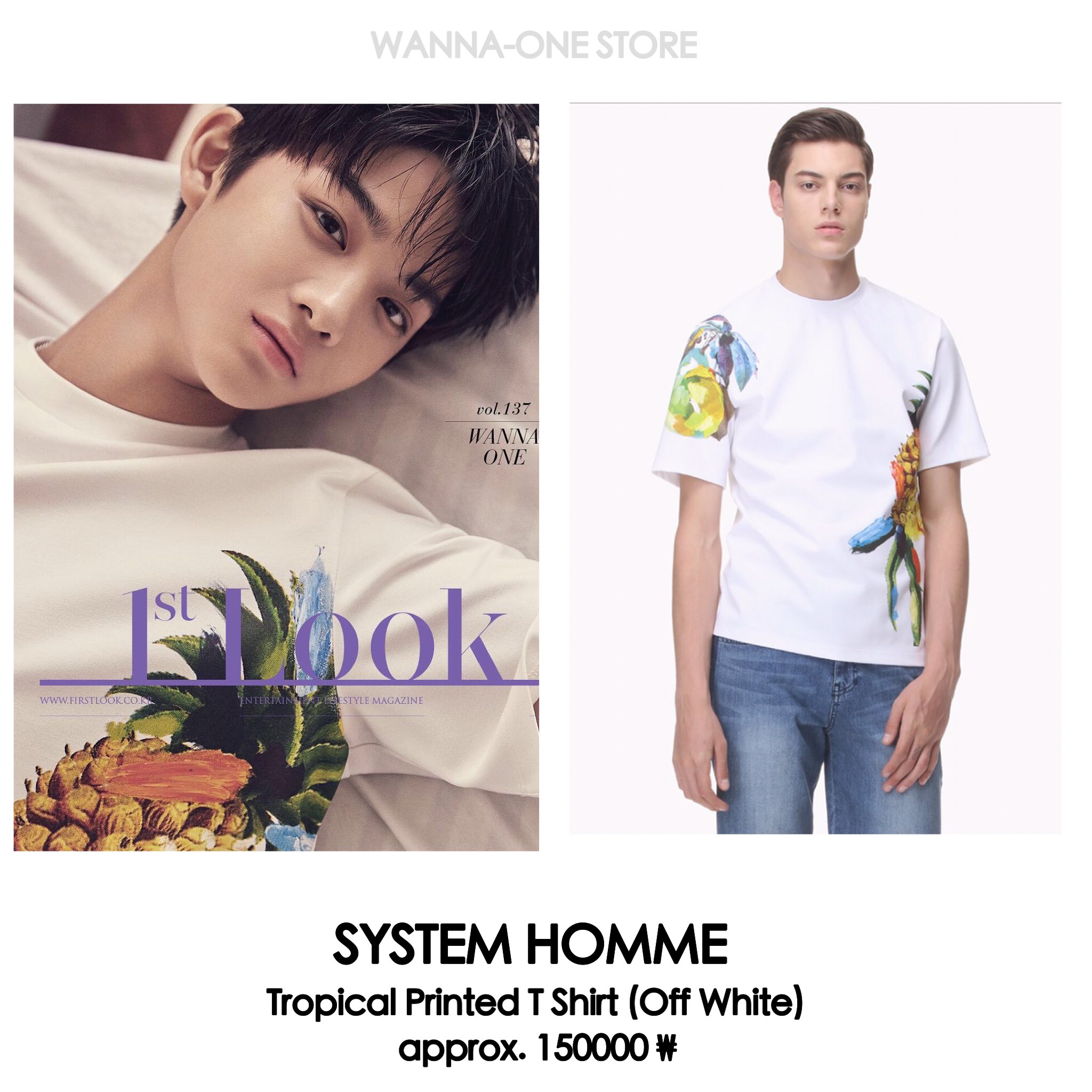 SYSTEMHOMME シャツ | www.eyedestination.com