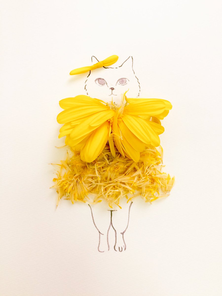 葉菜桜花子 ウェディングドレスできました Pa Twitter 黄色いガーベラが枯れたので花を使ってオシャレした猫を描きました 花言葉は 希望 究極美