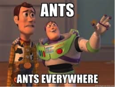 masters_pest's tweet photo. Master’s Pest Control will help you in controlling ants with our effective pest control services. #PestHumor https://t.co/VNlqBTN4Hp
