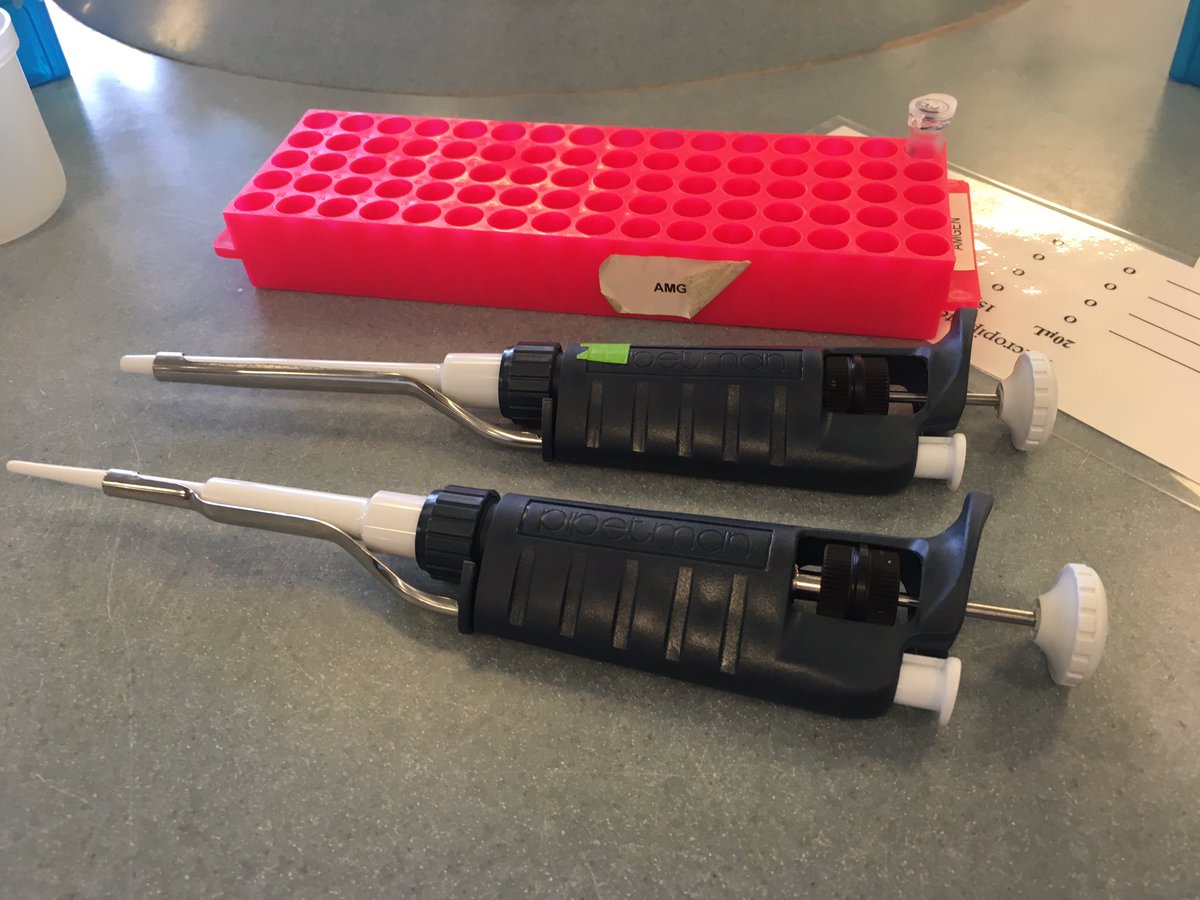 lisaothon's tweet photo. Genetechnology @SheringhamHigh @STEMLearningUK #ASETech. Who knows what these are? https://t.co/PmrRWSmW6N