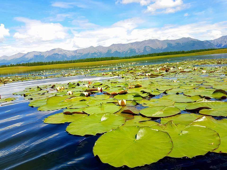 enhbatad's tweet photo. Ренчинлхүмбэ сум Цэцэгт нуур https://t.co/vlm7SwXNbZ