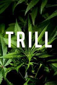 term_services's tweet image. I've been trill @trill