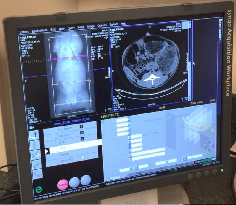 Well muscled tups going thru new SRUC mobile CT scanner earlier this week, from ram breeders Matt Prince (Texel) &amp; James Barker (Suffolk).