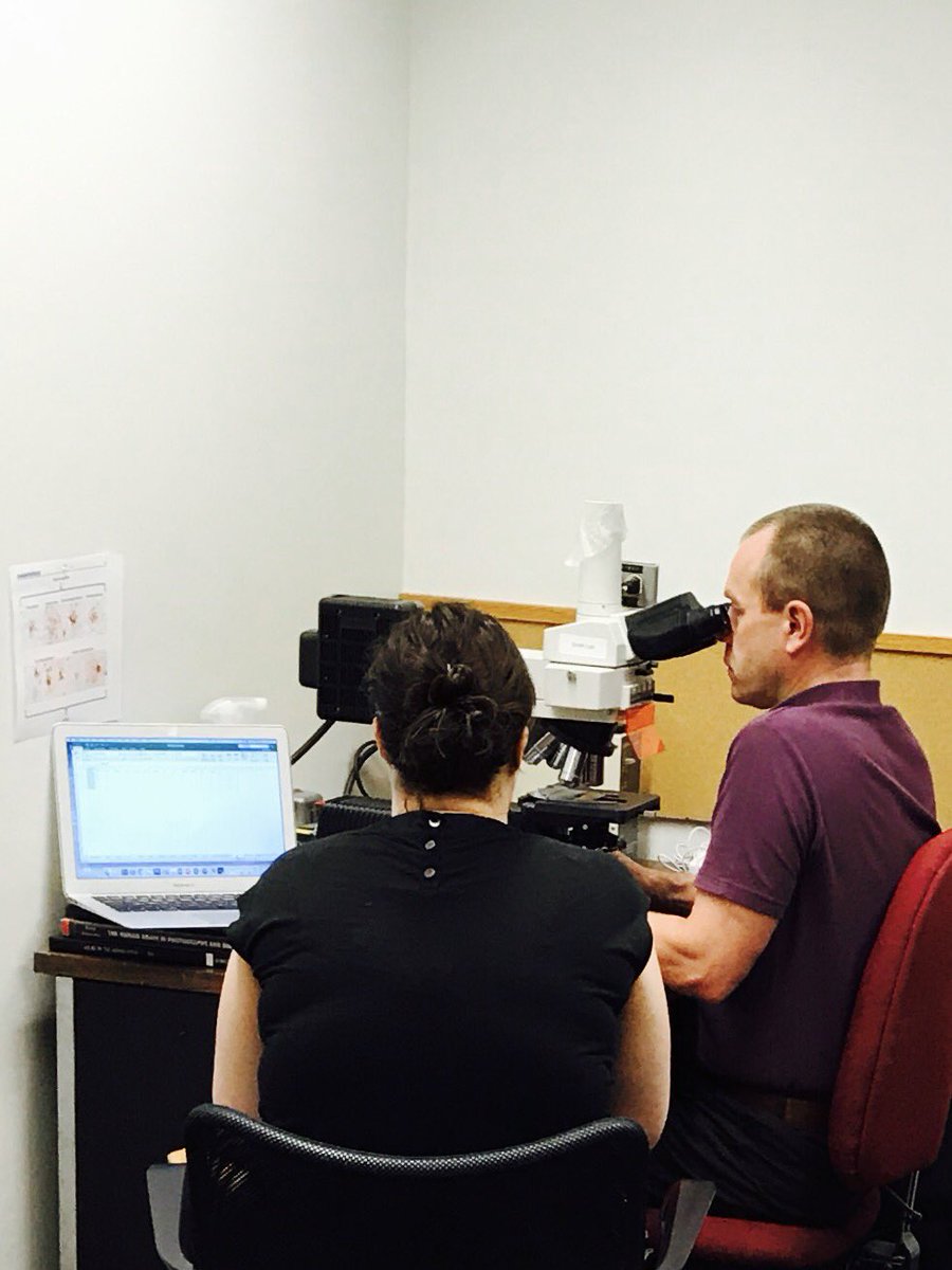 Scientists are hard at work - it's <a href="/Neurotrauma/">NeurotraumaSociety</a> time! Happy to see <a href="/WillStewNeuro/">Dr Willie Stewart</a> visiting <a href="/Penn/">Penn</a> @CBIR